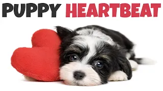 Puppy Heartbeat Sound