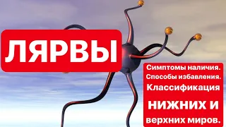 Дарья Орион "Лярвы. Симптомы наличия. Способы избавления. Классификация нижних и верхних миров."