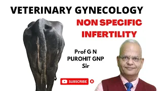 Unveiling the Mysteries of Bovine and Bubaline Infertility!
