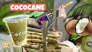 Cafe Vlog Coconut Water + Sugarcane Juice CocoCane Making in Singapore