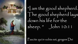 Our Good Shepherd