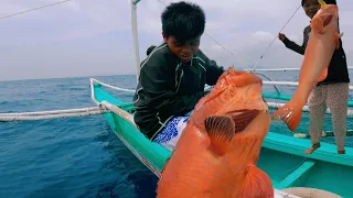 Spot Ng Puro Grouper Taranta Ang mga Bata Ang laki Ng kita nila!