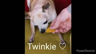 R.I.P Twinkie We Will All Miss You 🖤