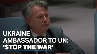 Ukraine's UN ambassador calls on Russia to 'stop the war'