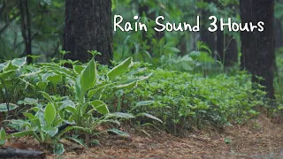 Gentle sound of rain for sleeping asmr 3 hours ｜Dark screen after 5 minutes