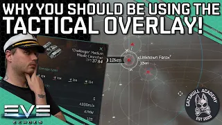 Tactical Overlay Explained - Spatial Visualization Tool || EVE Echoes