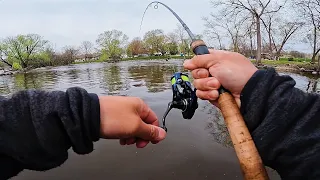 Fishing for Anything that Lives Here (Big Fish on Light Tackle)