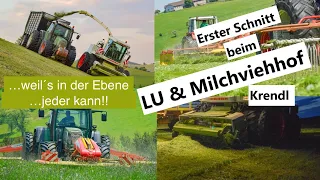 Erster Schnitt beim LU & Milchviehhof Krendl (NÖ): Häckseln am Hang | Landtechnik Murtal