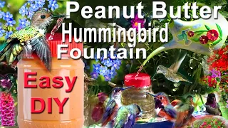 HUMMINGBIRDS Endless Water Birdbath HOW to Make EASY Peanut Butter Jar Solar Fountain Attracts Birds