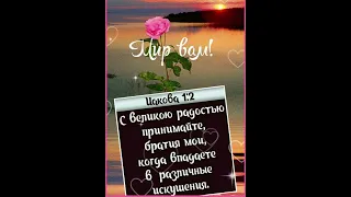 Доброе утро!!!