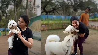 Met some CUTIES at the DOG PARK! | Ss vlogs :-)