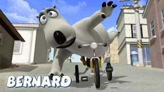 Bernard Bear | The Unicycle AND MORE | 30 min Compilation | Cartoons for Children