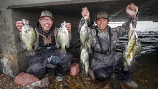 Bridge Fishing for GIANT SLAB Crappies! (CATCH CLEAN COOK)