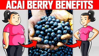 Benefits of Acai Berry | Acai Berry Health Benefits
