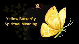 Yellow Butterfly Spiritual Meaning: What Butterfly Teach Us About Spirituality? #yellowbutterfly