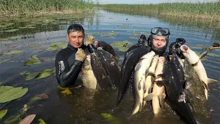 Приколы на рыбалке  // Пьяные. Браконьеры.  // неудачи на рыбалке // Подборка приколов 2020