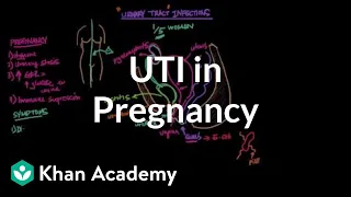 UTIs in pregnancy | Reproductive system physiology | NCLEX-RN | Khan Academy