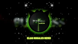 Tiësto - The Business (Elias Rosales Remix)