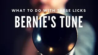 Bernie's Tune | What To Do With These Licks - Week 13