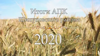 Итоги АПК Шипуновского района 2020