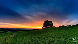 Nature | morning nature | nature music| nature videos |sunset videos| sunrise video | sun video