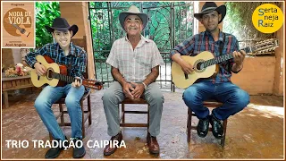 Especial Trio Tradição Caipira (Sertaneja Raiz) José Angelo