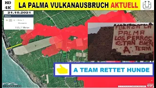 La Palma Vulkanausbruch Lava aktuell 21.10.2021 Hunderettung:  "A Team" hat Hunde gerettet