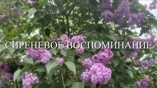 СИРЕНЕВОЕ ВОСПОМИНАНИЕ… /христианский стих/ читает автор Анна Юркин@