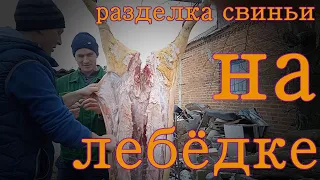 Разделка свиньи на лебёдке,пробный вариант.