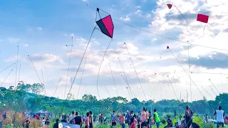 Pipa Gigante de Bambu no Miolo do Festival com o Helinho no Tenteio