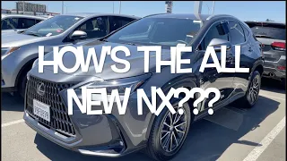 NEW 2022 LEXUS NX 250 SUV