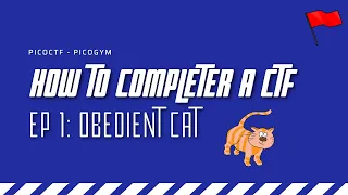 How to complete a CTF challenge | PicoCTF walk-through #1 - Obedient Cat