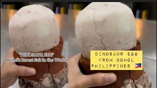 DINOSAUR  EGG | One of the Rarest Salt in The World | Matatagpuan sa Bohol😱