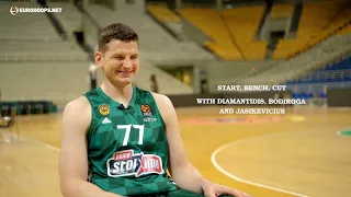 (Greek) Panathinaikos: Start, bench, cut with Diamantidis, Bodiroga and Jasikevicius