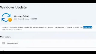 Fix Windows 11 Update KB5022404 Not Installing Error Code 0x8024a206