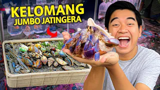 HUNTING KELOMANG JUMBO DI PASAR MALAM JATINEGARA JAKARTA!