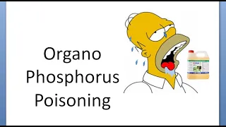 Medicine 458 OrganoPhosphorus Poisoning Atropine Pralidoxime farmer antidote OP pesticide