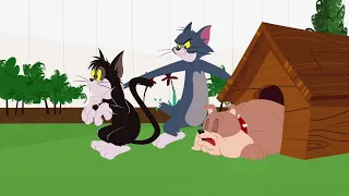 Tom and Jerry Show S 01 E 13 C - BIRDS OF A FEATHER |L00caa|