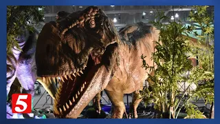 Take a trip back to when dinosaurs roamed at Jurassic Quest this weekend