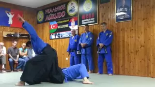 Realni Aikido - Polaganje za majstorska zvanja