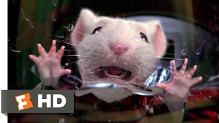 Stuart Little (1999) - Stuck in the Washing Machine Scene (2/10) | Movieclips