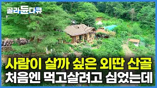 도무지 사람이 살 것 같지 않은 외딴 산골에서 그저 자급자족 먹고살려고 5,000평 노지에 하나 둘 심었을 뿐인데┃어느새 10년째 부부가 만든 천상의 화원┃한국기행┃#골라듄다큐