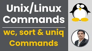 Part 6 - Unix/Linux for Testers | wc, sort & uniq Commands