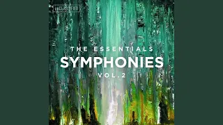 Symphony No. 4, "Heroes": V. Neukoln