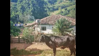 Jovane clipe dois mil 2024 Teodoro &  Sampaio Sucesso Sertanejo modão muitos  bom