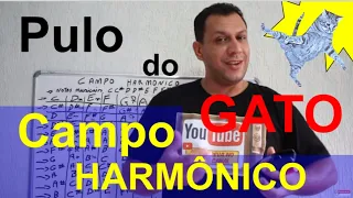 🎵 Campo Harmônico Sem Complicação (O Pulo do Gato)