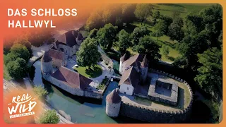 Das schönste Wasserschloss: Hallwyl | Doku | Real Wild Deutschland