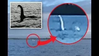 Loch Ness Monster Spotted In Russian Lake