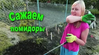 Огородные хлопоты. Сажаем помидоры. Огромные дождевые черви. #Анапа #Гостагаевская/ ПМЖ.