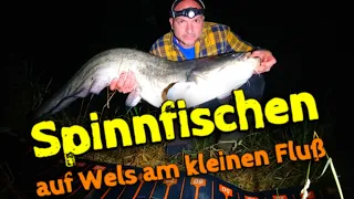 Spinnfischen auf Wels I Welsangen 2022 (Teil 6)